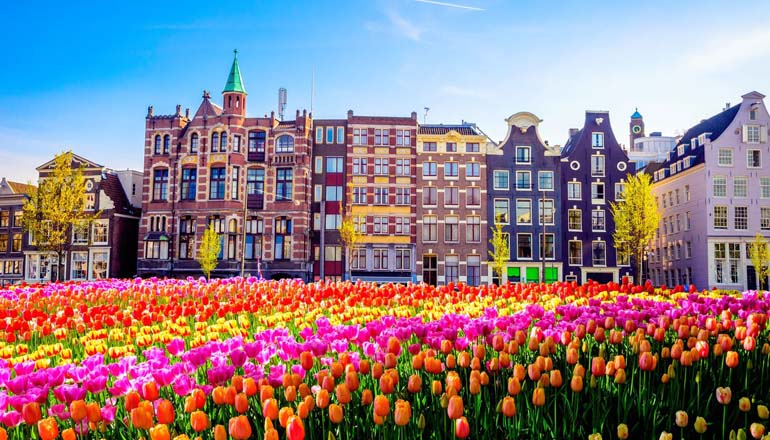 netherlands-main-pic